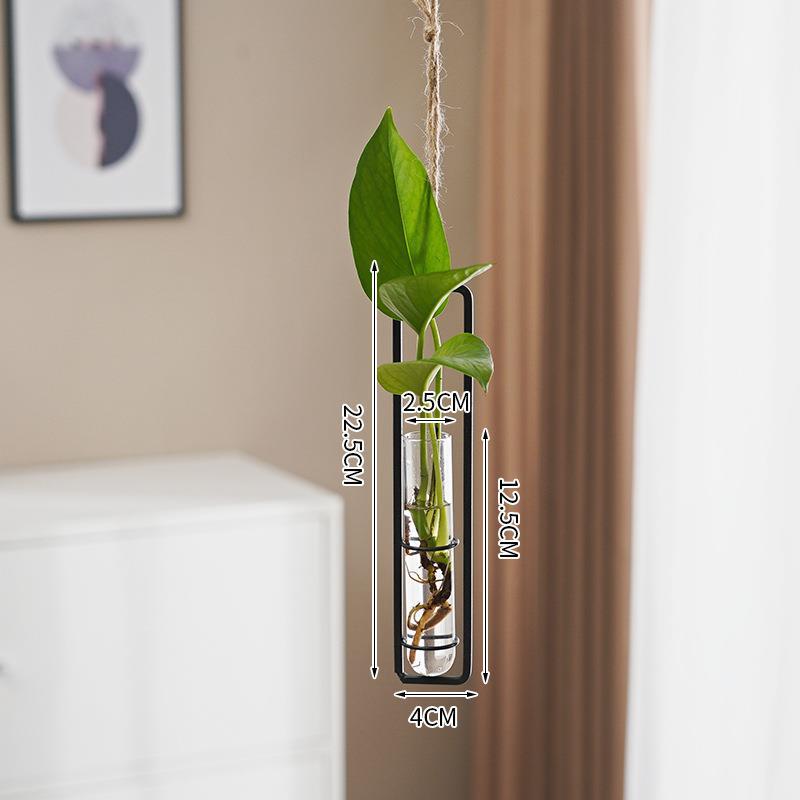Vase hydroponique en verre, style scandinave