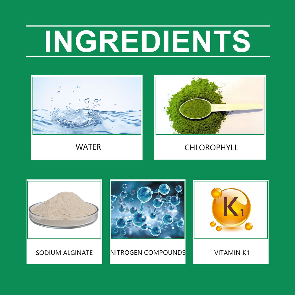 Spray chlorophylle, nutriment pour plantes