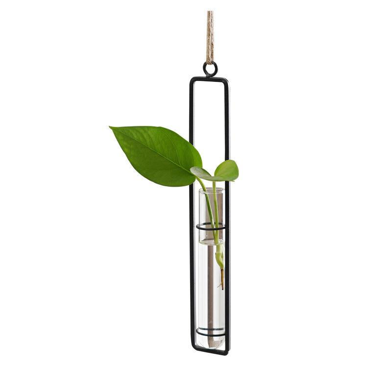 Vase hydroponique en verre, style scandinave
