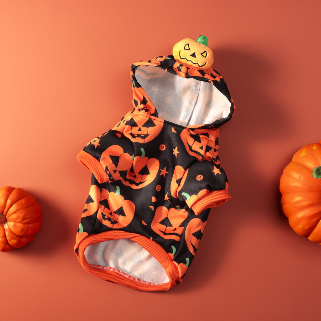 Sweat citrouille pour animaux, Halloween
