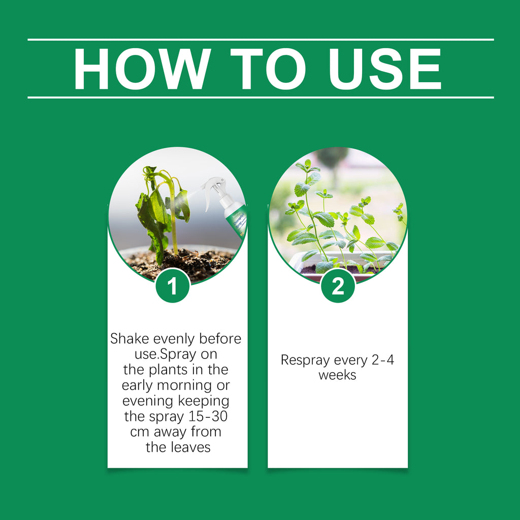 Spray chlorophylle, nutriment pour plantes