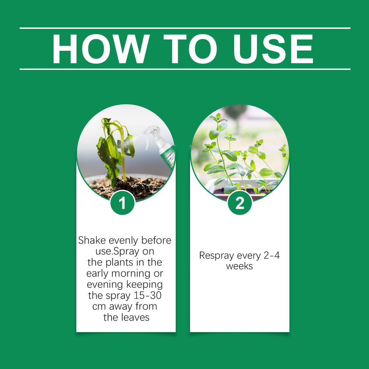 Spray chlorophylle, nutriment pour plantes