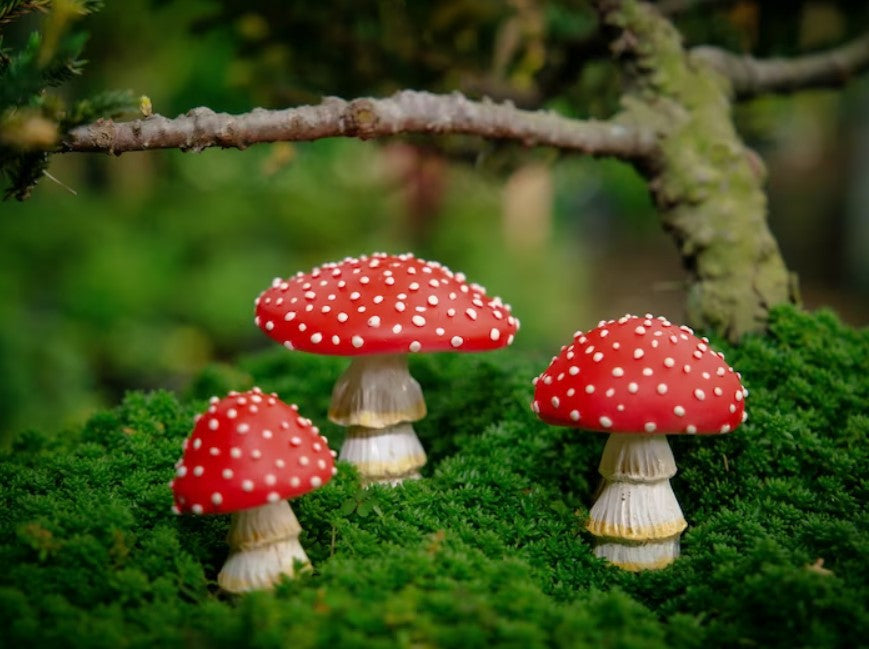 Champignons décoratifs lumineux pour jardin