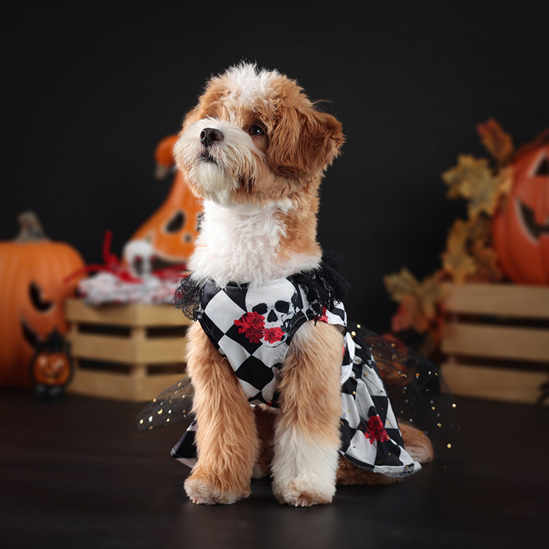 Robe déguisement Halloween pour chien