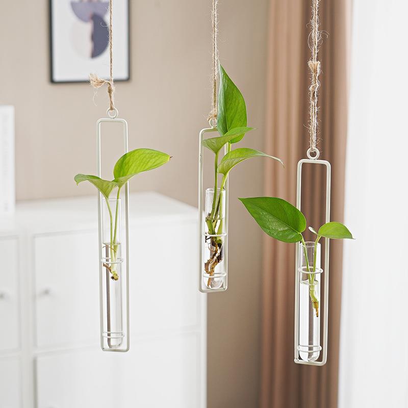 Vase hydroponique en verre, style scandinave