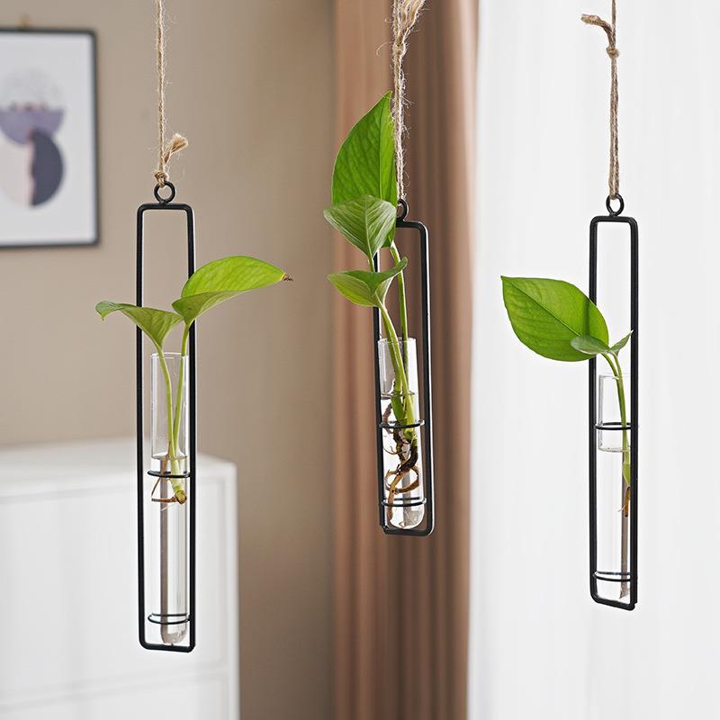 Vase hydroponique en verre, style scandinave