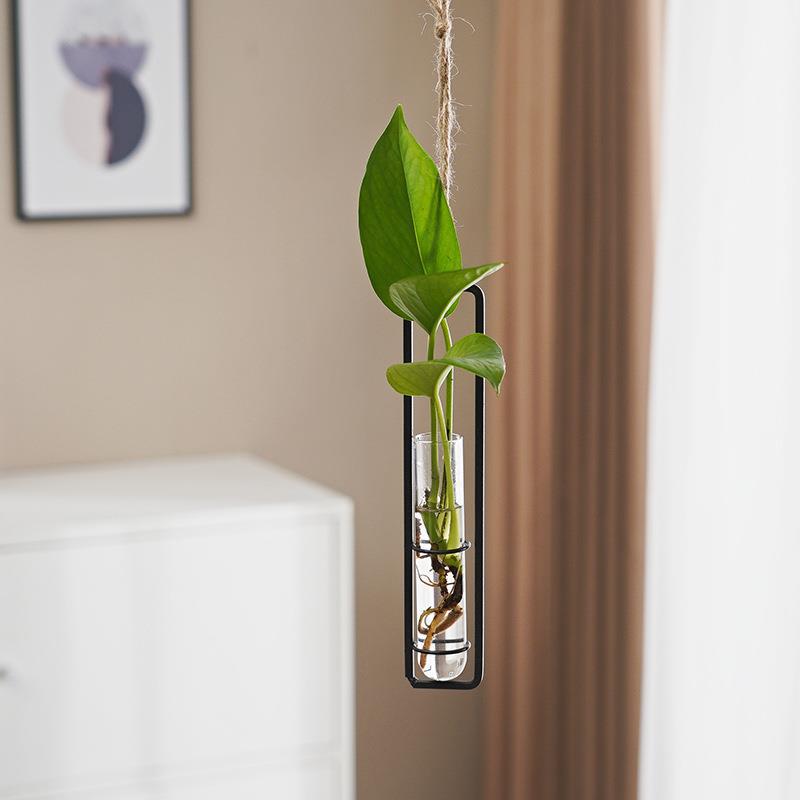 Vase hydroponique en verre, style scandinave