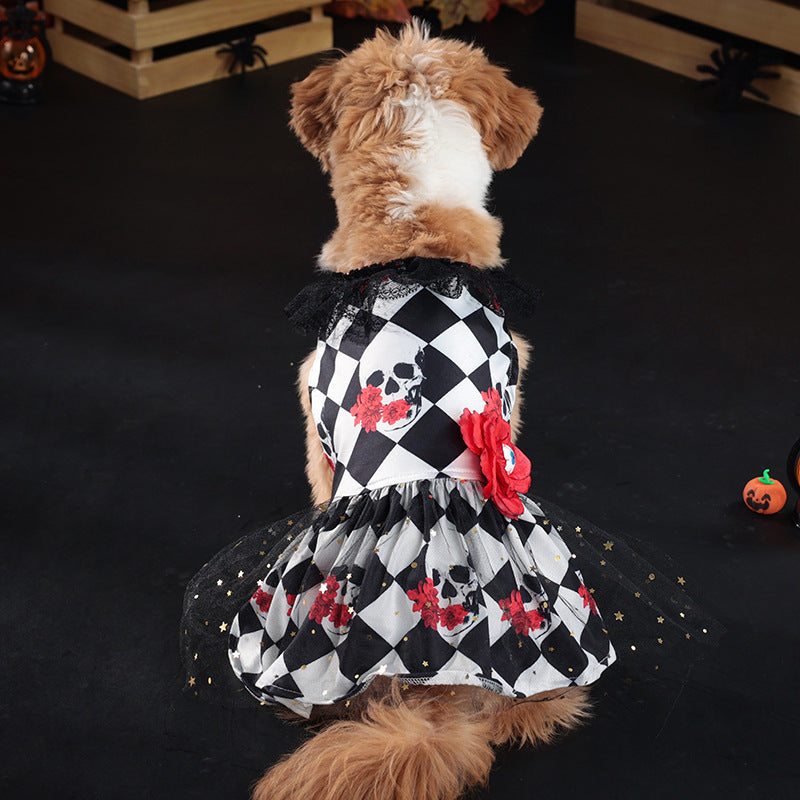Robe déguisement Halloween pour chien