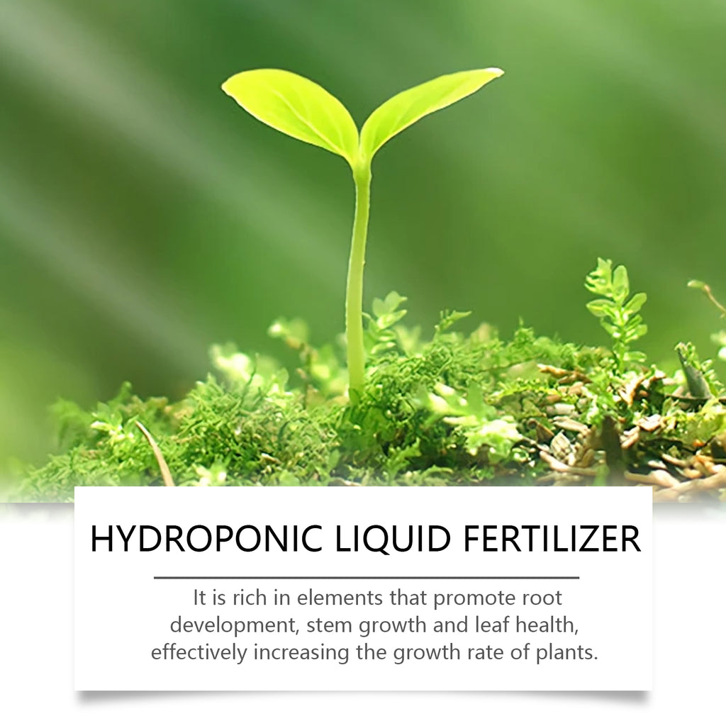 Engrais liquide hydroponique, croissance et feuillage vert